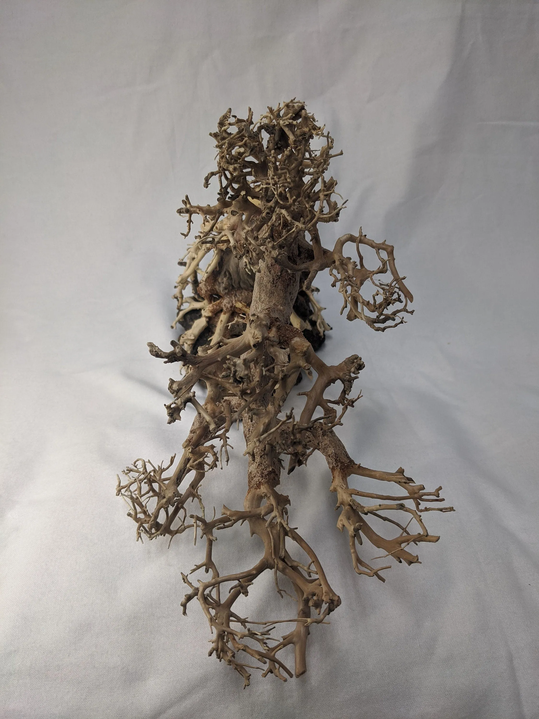 Aquarium Bonsai Driftwood Tree