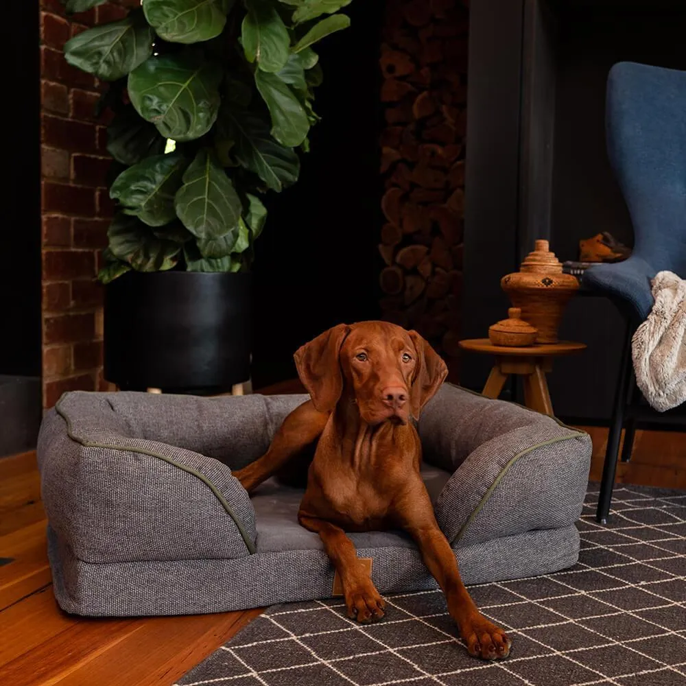 Buddy & Belle Orthopaedic Lounge Dog Bed Steel Grey