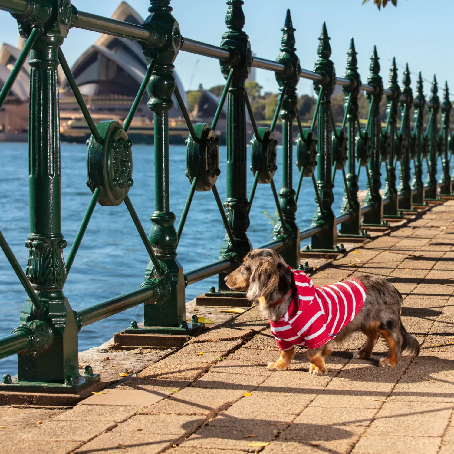 Dog Hoodie - Red