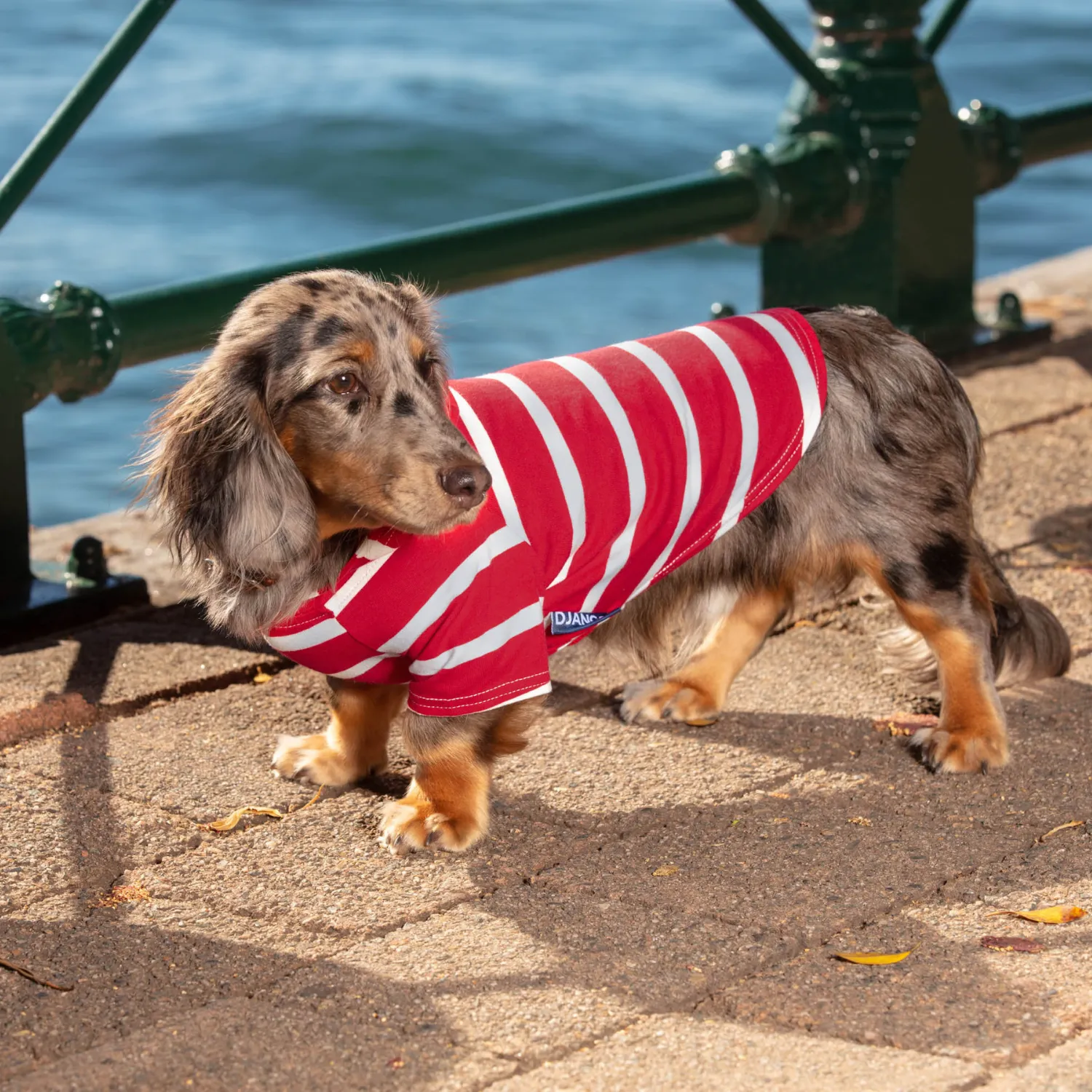 Dog Hoodie - Red
