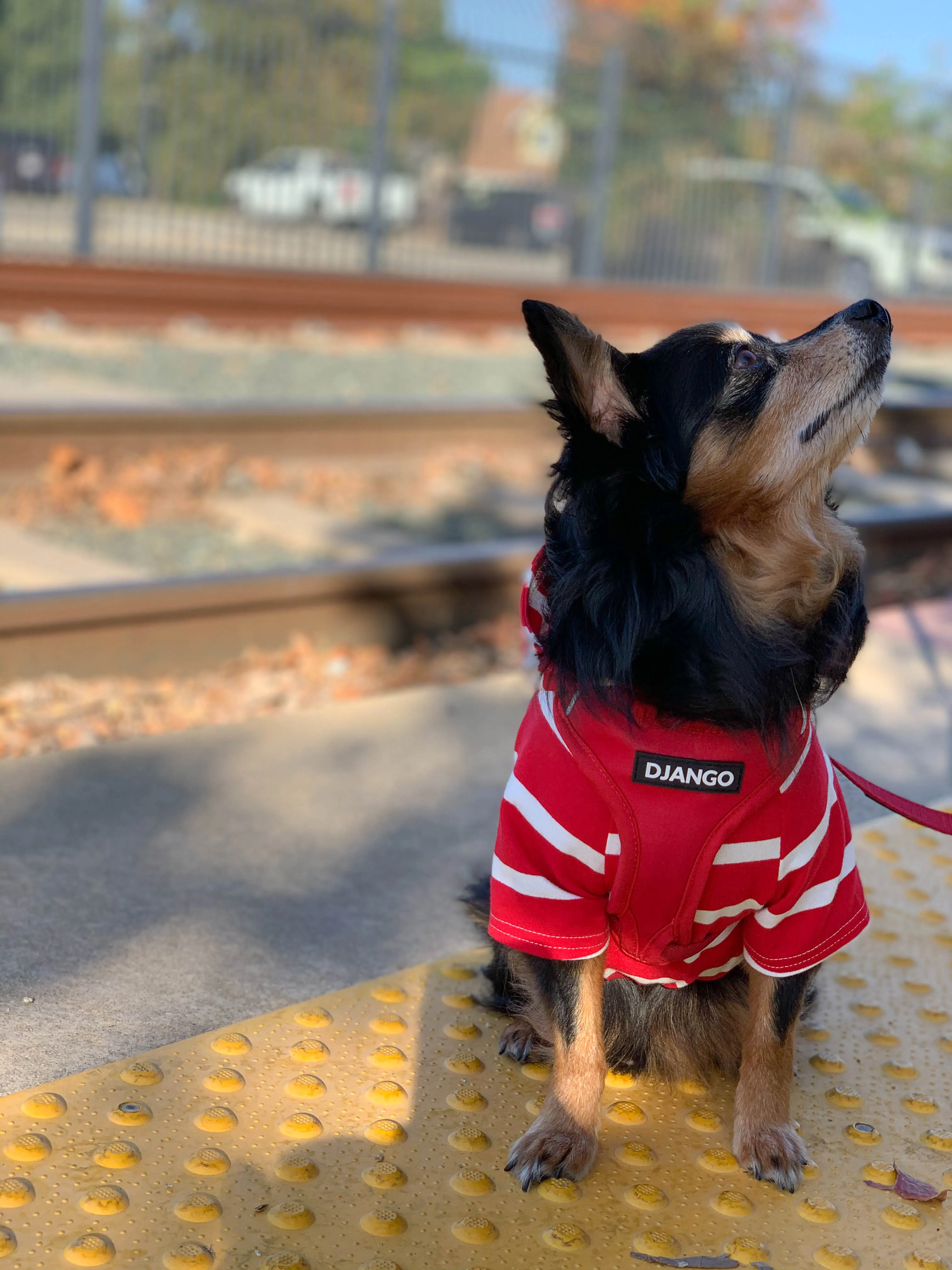 Dog Hoodie - Red