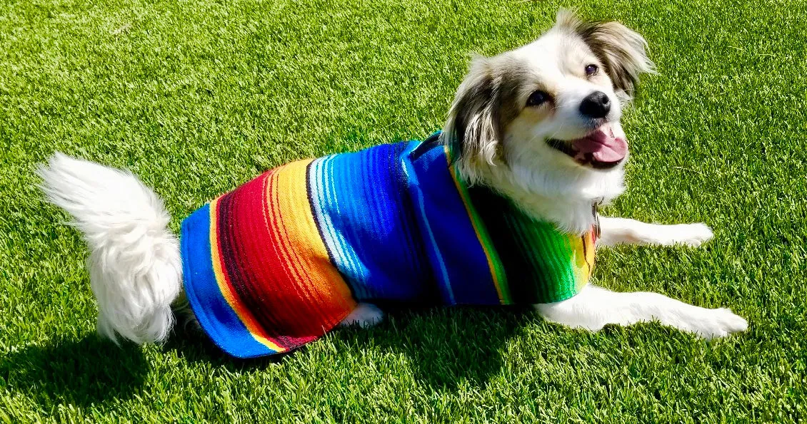 Dog Poncho - Pink