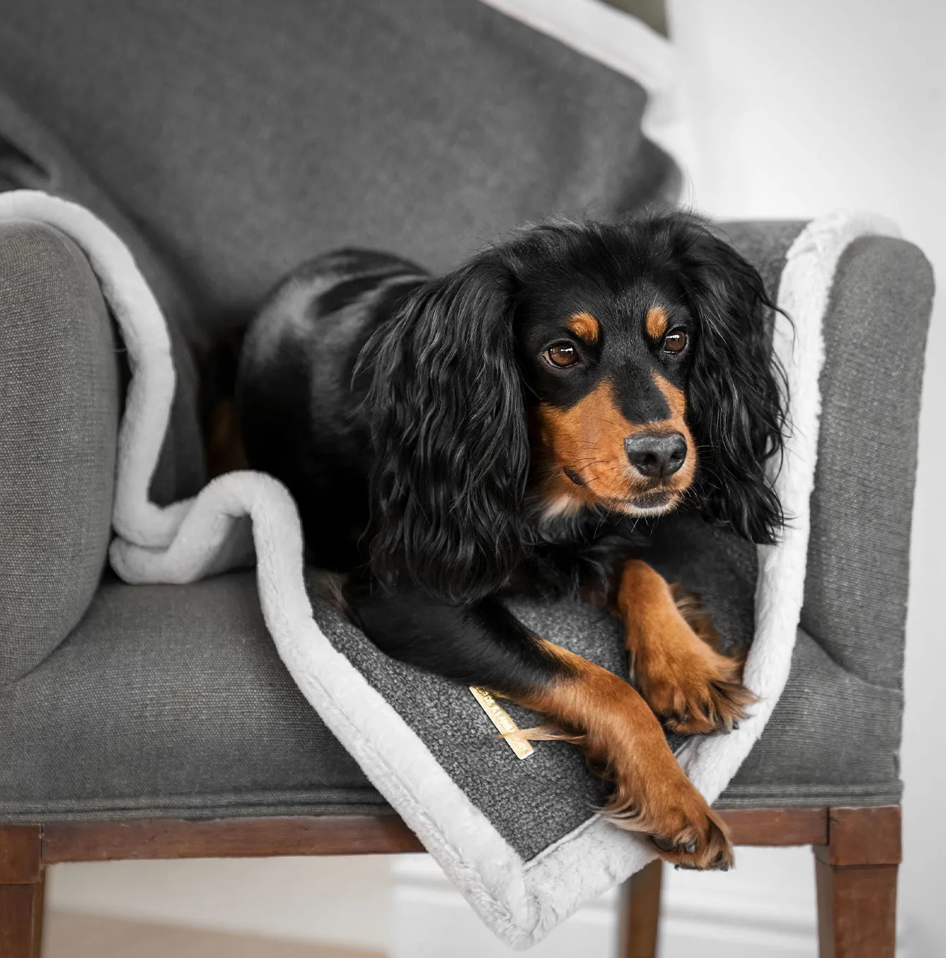Essentials Herdwick Blanket in Graphite by Lords & Labradors