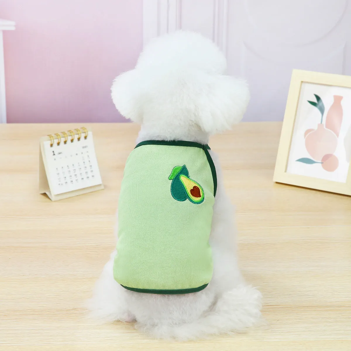 Fruit embroidery pattern pet clothing