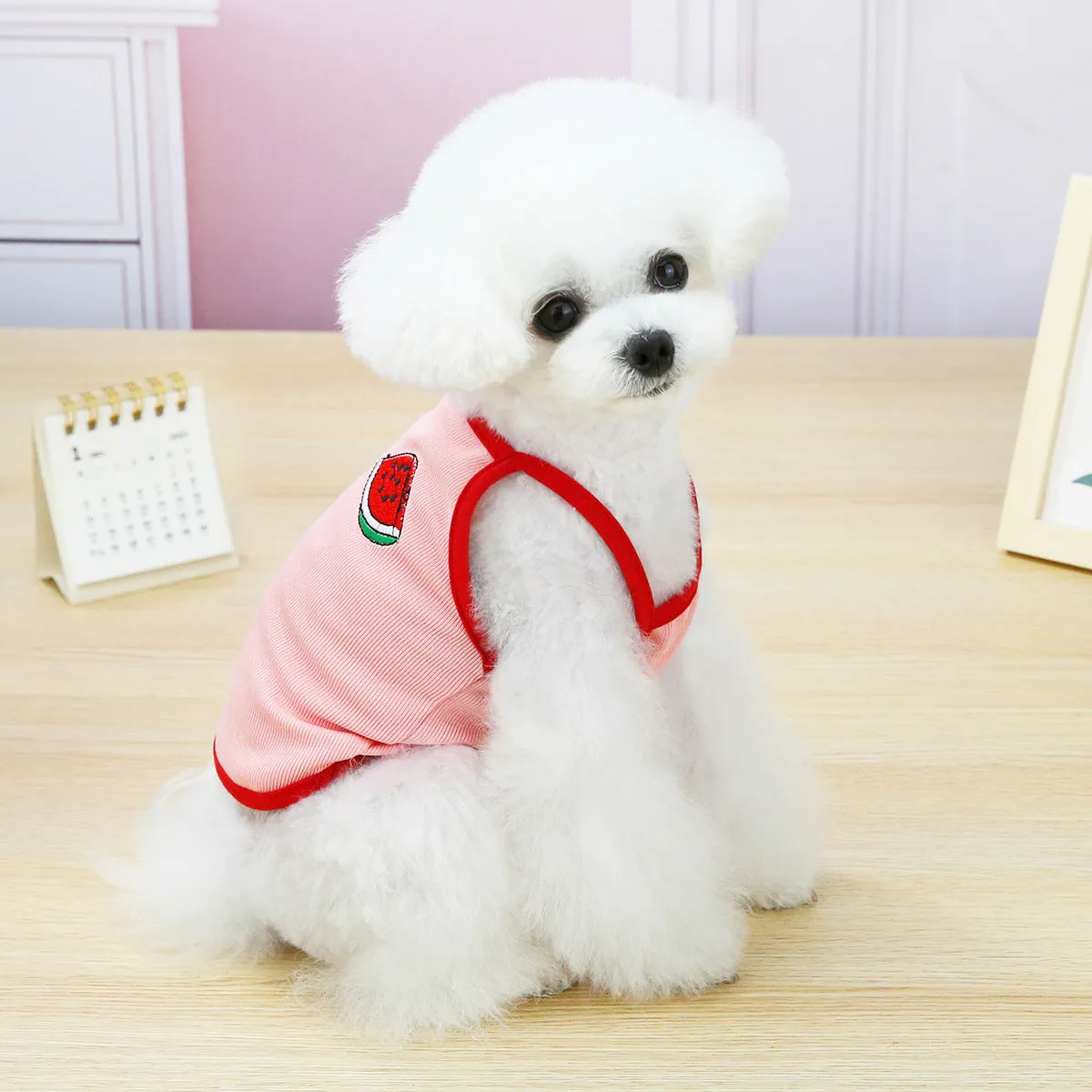 Fruit embroidery pattern pet clothing