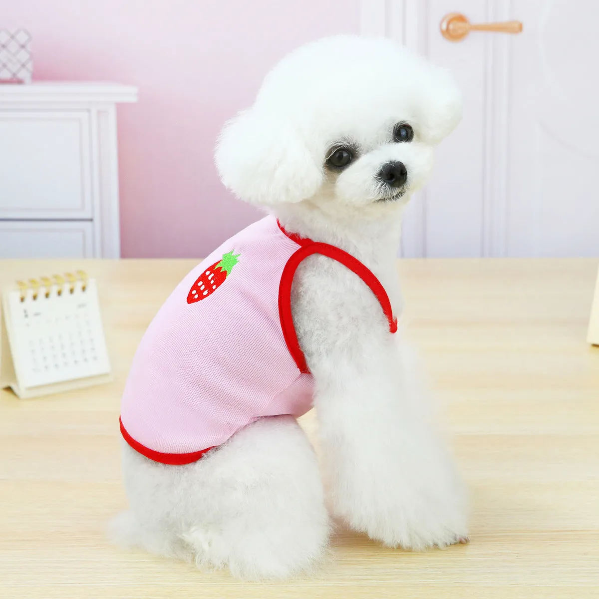 Fruit embroidery pattern pet clothing