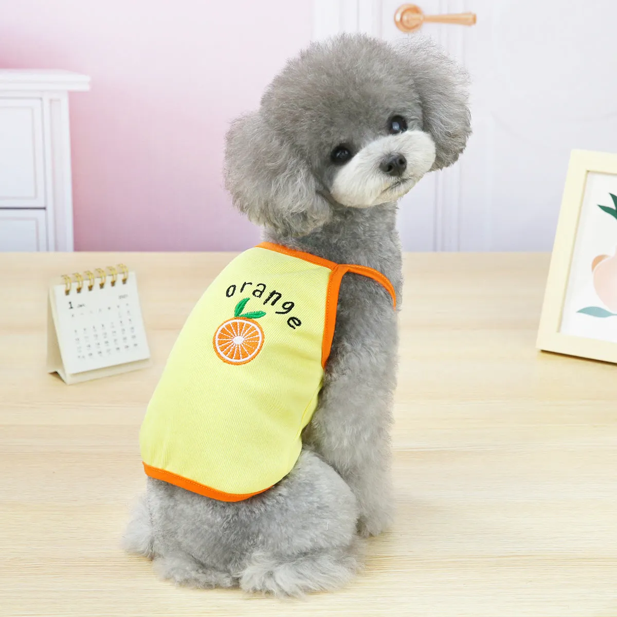 Fruit embroidery pattern pet clothing