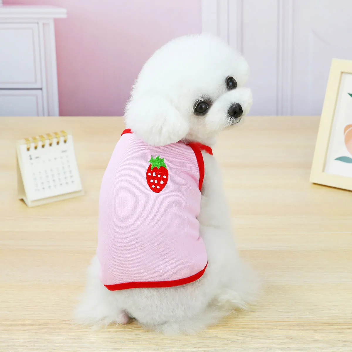 Fruit embroidery pattern pet clothing