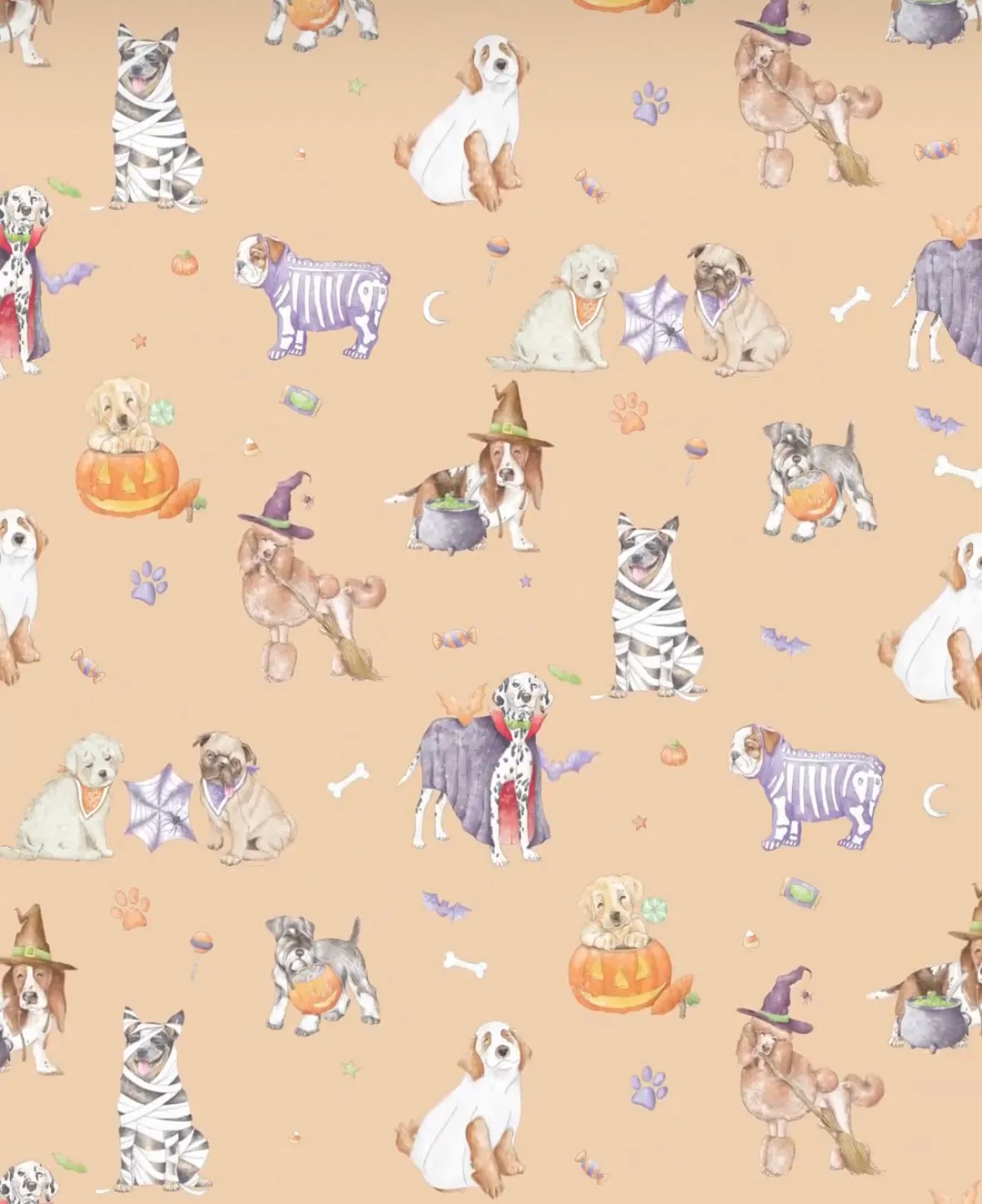 Nola Tawk Long Sleeve Organic Cotton PJ Set - Paws-itively Spooky