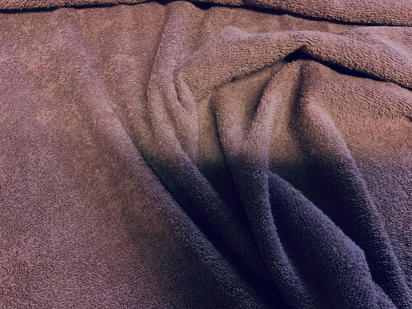 PLUM - Pure Cotton Thick LUXURY TOWELLING Fabric by Truly Sumptuous
